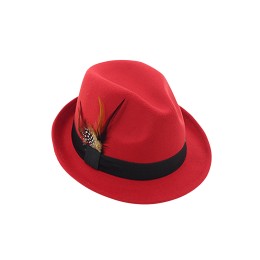 大量訂做表演帽  自訂淨色活動派對羽毛禮帽 啤酒節禮帽 SKHA038 大量訂做表演帽  自訂淨色活動派對羽毛禮帽 啤酒節禮帽 SKHA038